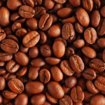 Neu entdeckte Pilzarten zerstören Kaffeepflanzen in Costa Rica